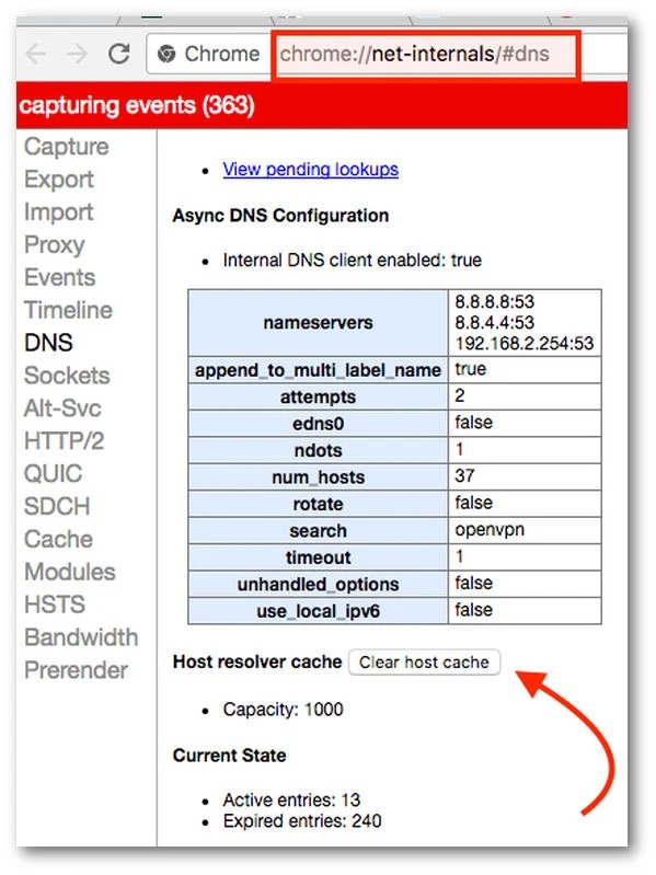 chrome net internals dns