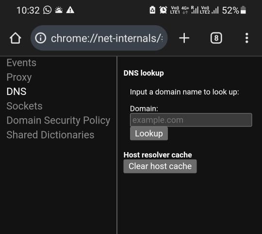 http chrome net internals dns