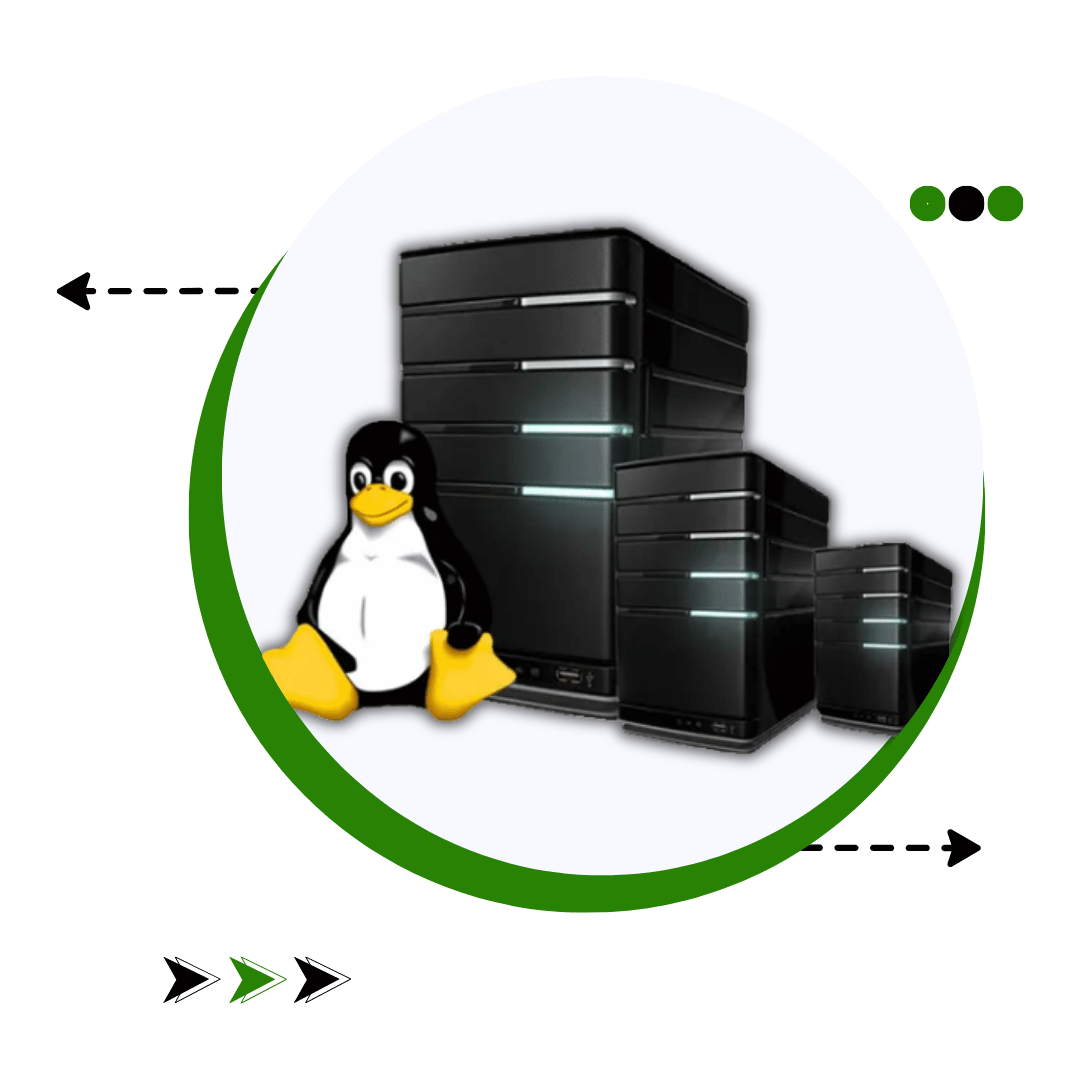 linux VPS Hosting in India