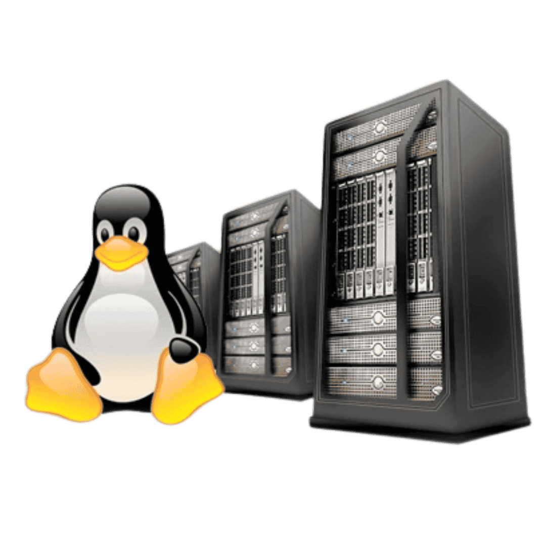 linux vps hosting services in India