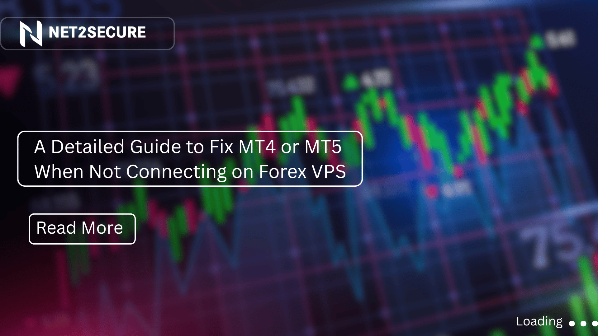 A Detailed Guide to Fix MT4 or MT5 When Not Connecting on Forex VPS